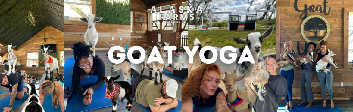 Mini Goat Yoga