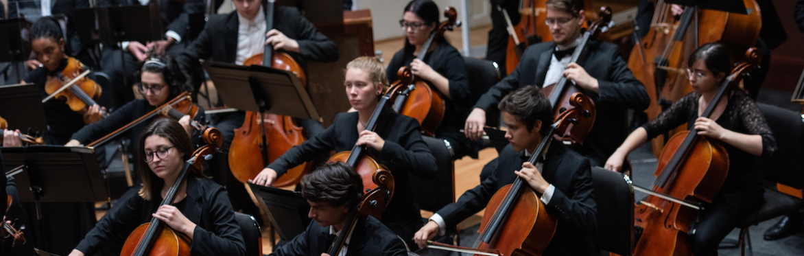 Chamber Orchestra - April