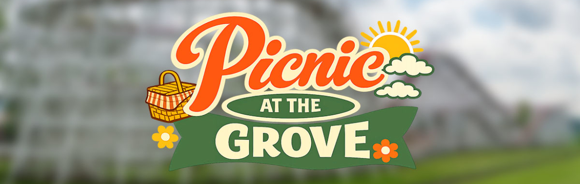 Picnic at the Grove