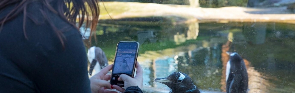 Late night openings at Edinburgh Zoo