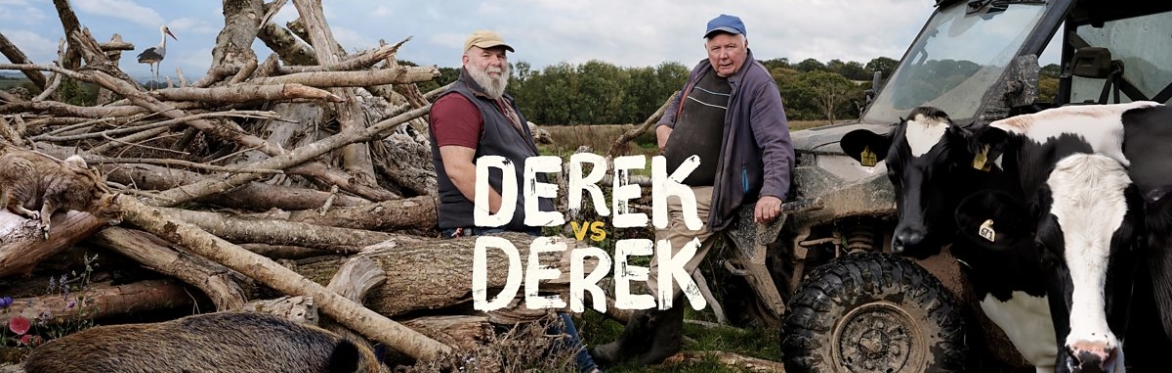 Derek vs Derek