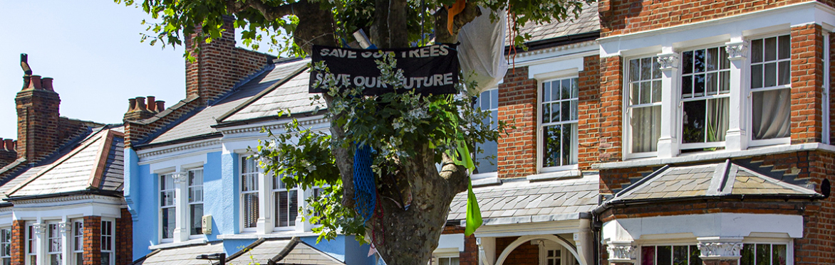 Can Books Save Trees?