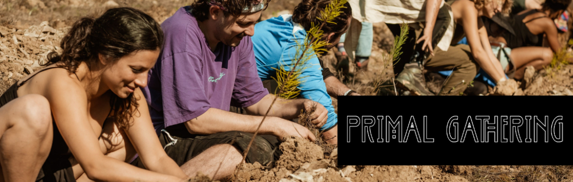 Primal Reforestation Gathering 2022