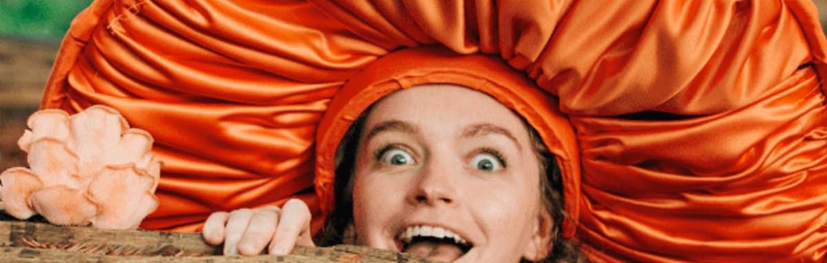 The Mushroom Show