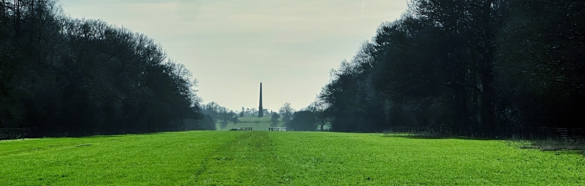 Buckinghamshire, Silverstone, Summer Wild Food Foraging Course/Walk