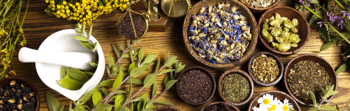 Home & Community Herbalist Group