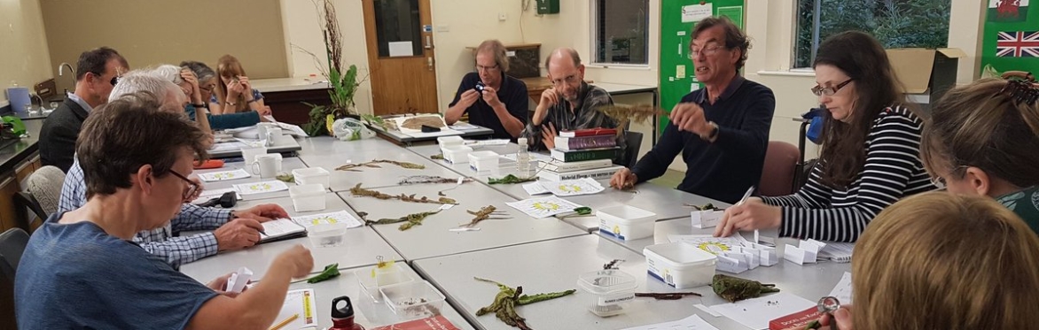 BSBI Recorders' Meeting 2022