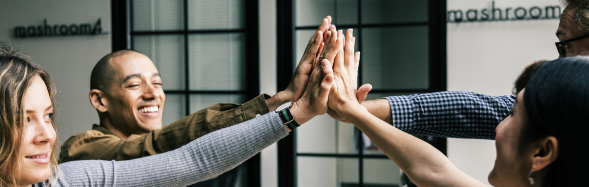 Understanding and Implementing FaST - With Special Guest Diana Larsen