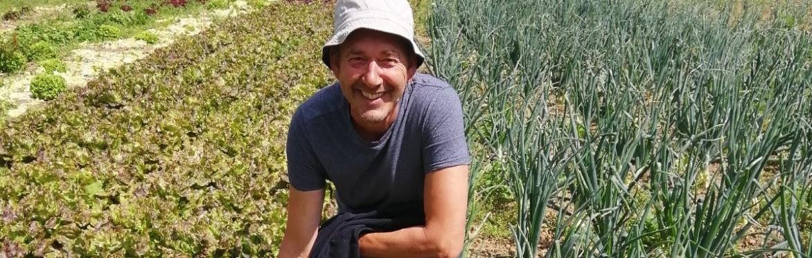 Metske crouching in field of onions and lettuces