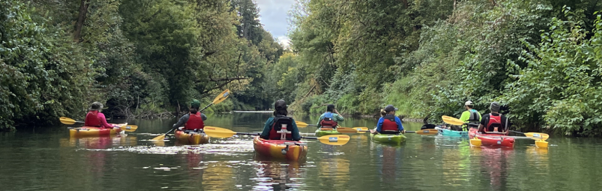 A group of kayakers paddle away from the camera on a calm river. Green, bushy trees line the river banks.