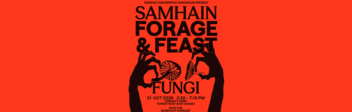 Halloween Samhain Forage & Feast at Farmacy Farm: Fire, Folklore & Fungi with The Barefoot Forager & Bristol Fungarium