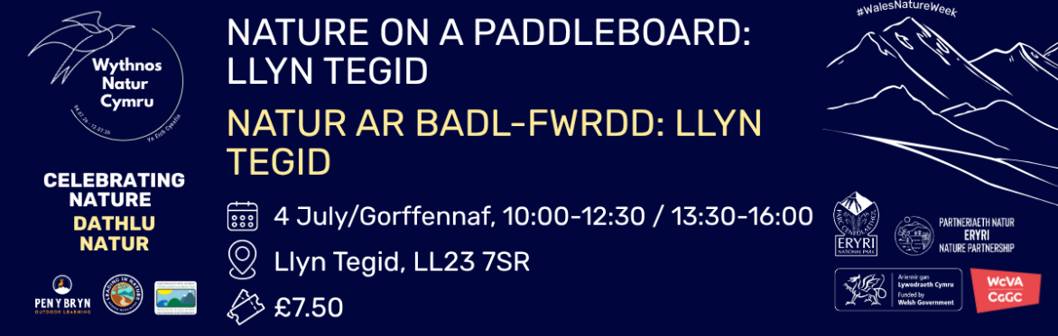 Nature on a Paddleboard / Natur ar Badl-fwrdd