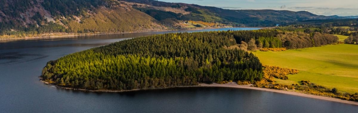 VILN Litter Pick Dores