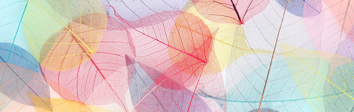 colourful leaf pattern
