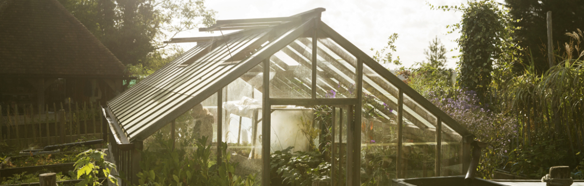 Propagation for gardeners