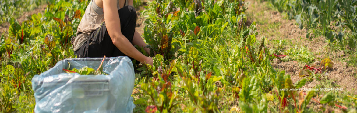 Farming the Future: Learning from a funder collaboration that funds collaboration