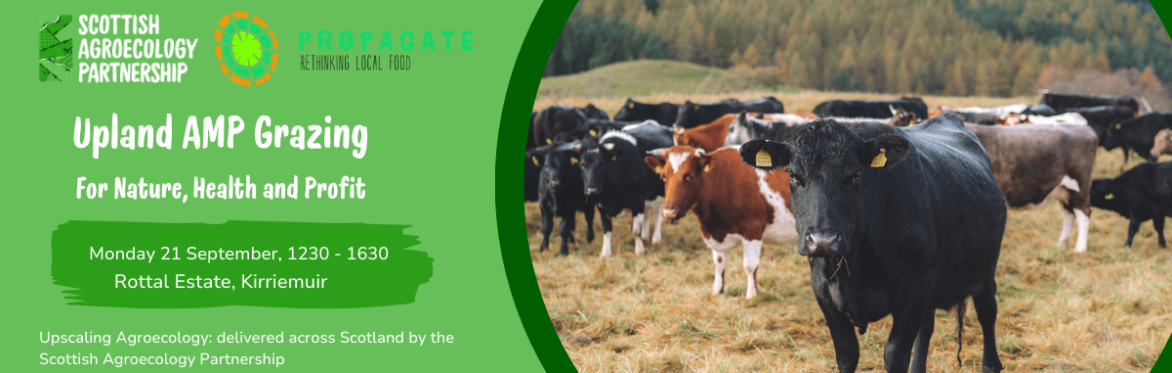 Upland AMP Grazing for Nature, Health and Profit - Rottal Land & Livestock