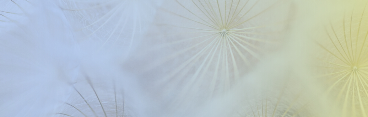 Seedling Series: Evaluating Systemic Change