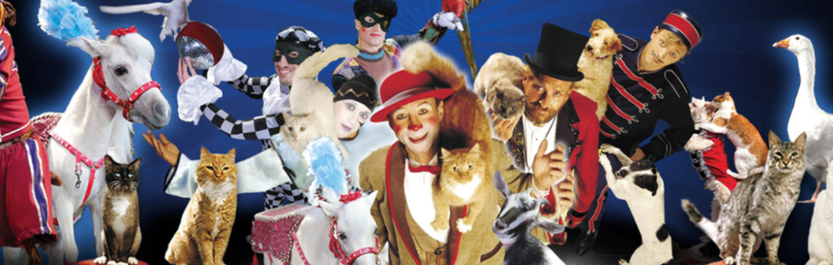 POPOVICH Comedy Pet Theater in Boston