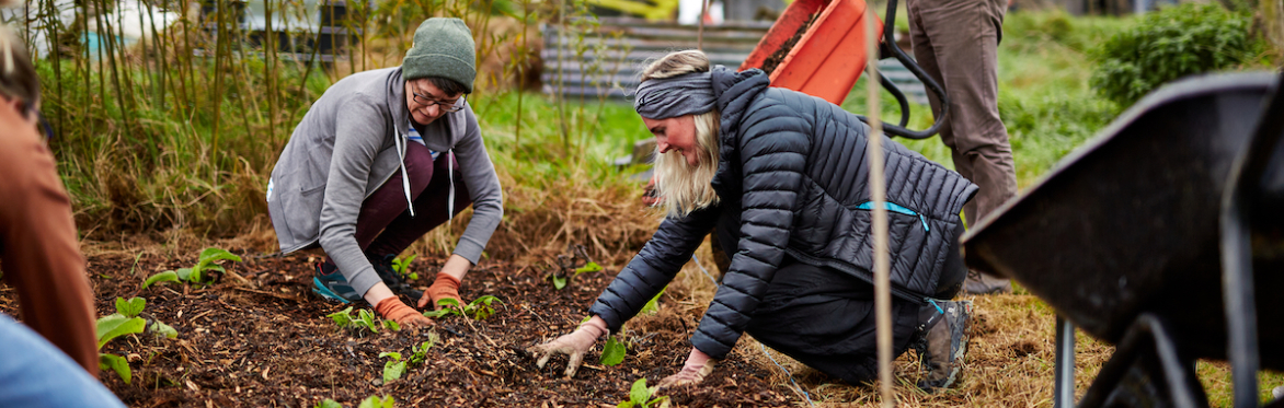 The Growing Academy - Laurelbank Farm's Organic Fruit and Vegetable Growing Course