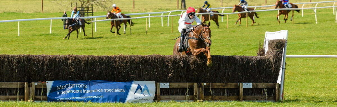 Revesby Races Point-to-Point