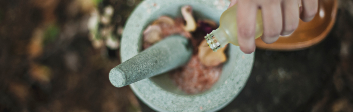 online herbal medicine course