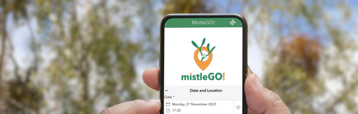 Mapping Mistletoe: MistleGO! Project Update