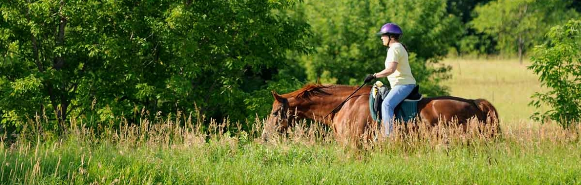 7 in Heaven Singles Horseback 9:30am Session Ages 50's 60's 70's Sun 11/15/26