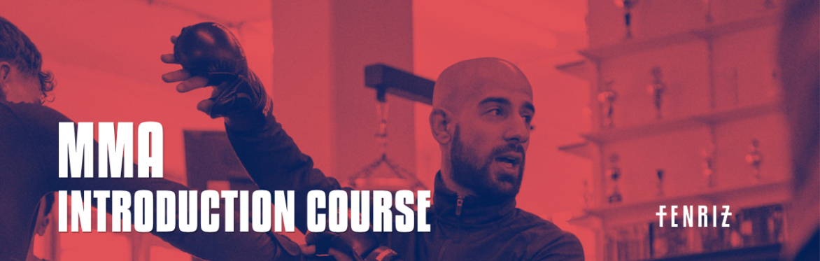 Mixed Martial Arts Introduction Course