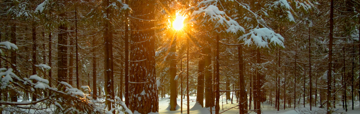 Solstice Celebration