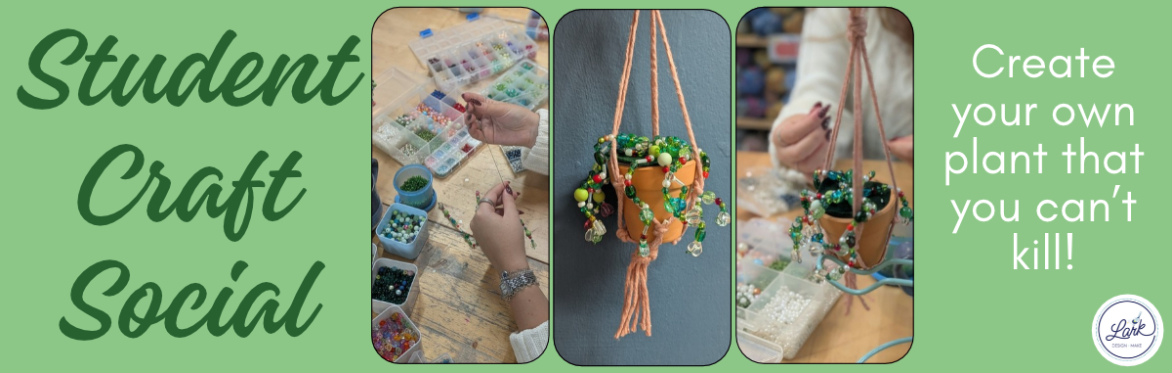 Student Craft Social - Make your own Beaded Plant