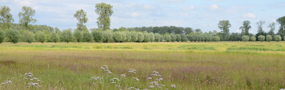 Landschaplezing: Ontdek de kracht van boerenlandschappen in beweging!