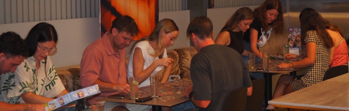 Puzzle Night Pictures