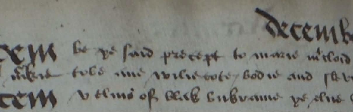 Wyliecoats, Brassieres, and other Sixteenth-Century Mysteries