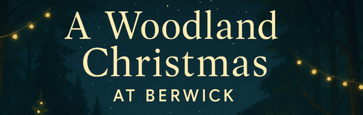 A woodland Christmas at berwick