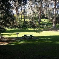 Elk Glen Golden Gate Park