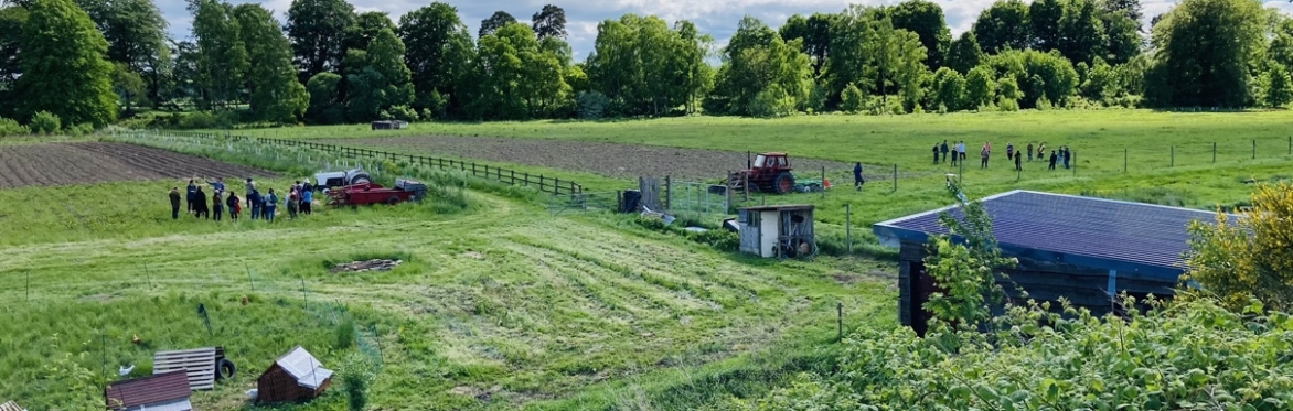 Agroforestry & Irrigation for market gardeners and small farms