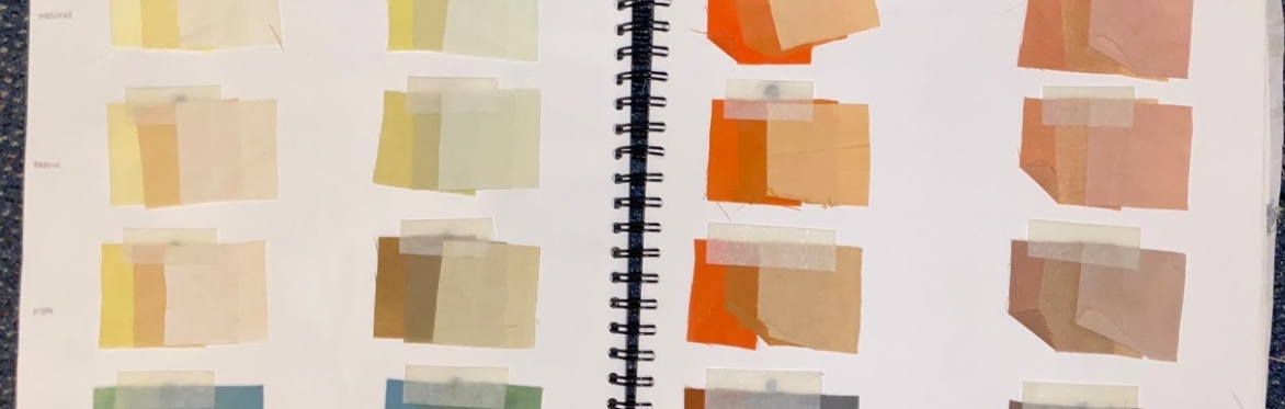 Plant Pigments - One Day Workshop