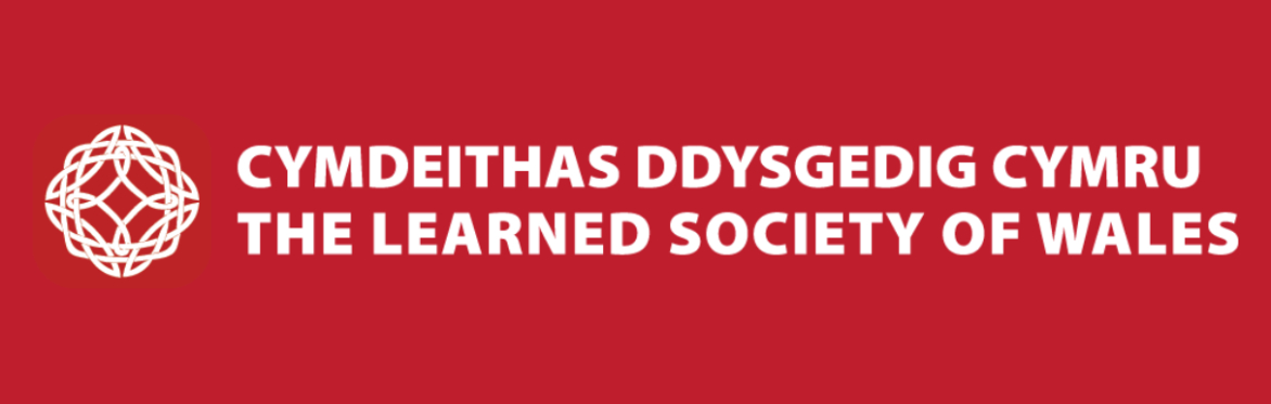 Sesiwn Cymrodyr y Dyfodol | Future Fellows Session - for those in industry, public life and the third sector
