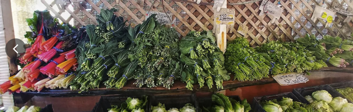 Organic Farm Tour