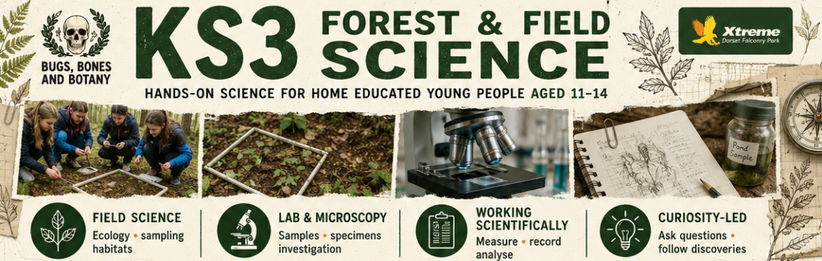 HE: KS3 Forest & Field Science