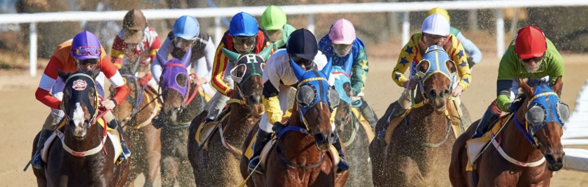 Night at the Races - Sponsored by Pittsburgh Gaelic Athletic Association