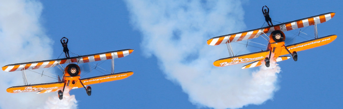 Wing Walk
