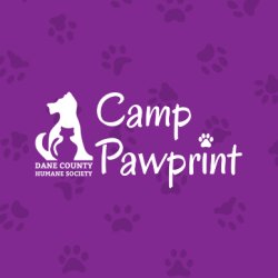 Camp Pawprint - Day Camps 2026-27