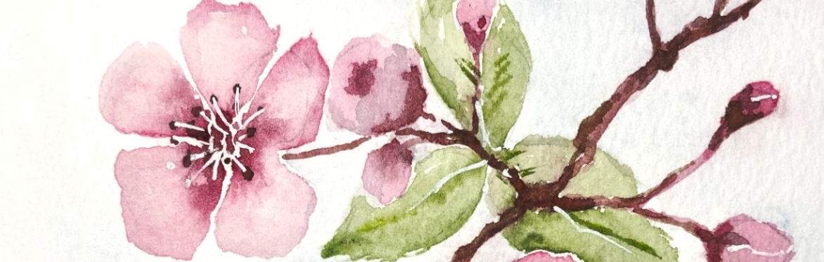 Watercolour Flowers