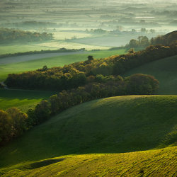 Into Autumn with Peter Owen Jones - 2 Day Sussex Pilgrimage