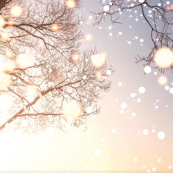 Concert: Light in the Snow