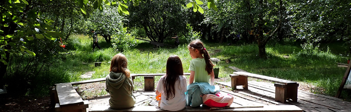 Ogham Forest School - Sneem Summer Festival