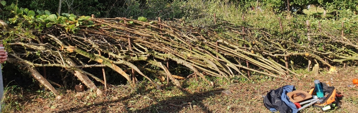 Land Workers Association Hedgelaying Training Day