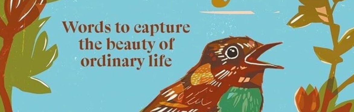 image from Dearbhla Mescal's book "Finding Joy"